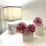 Bilocale Dimora Raffaella *