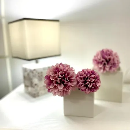 Bilocale Dimora Raffaella *